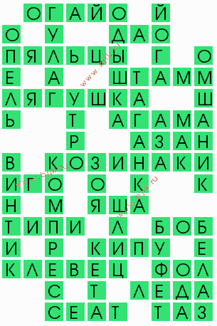 сканворд 5489