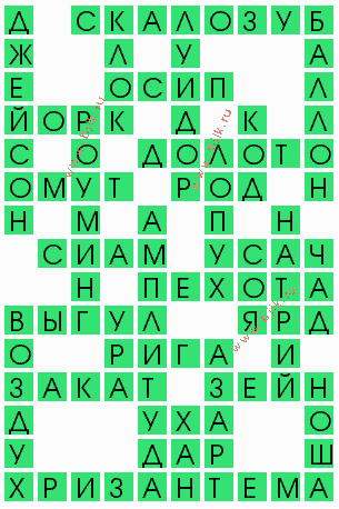 сканворд 5522