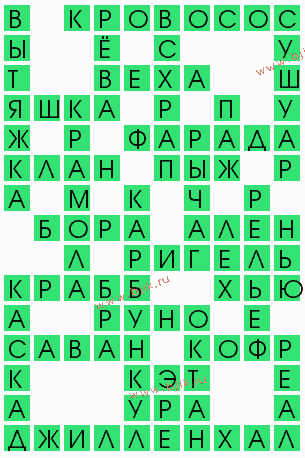 сканворд 5588