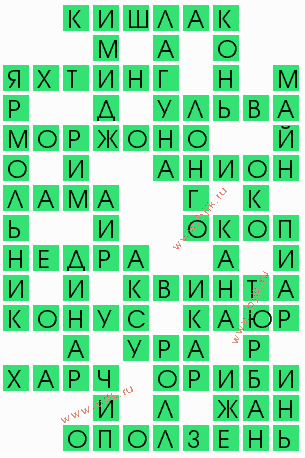 сканворд 5886