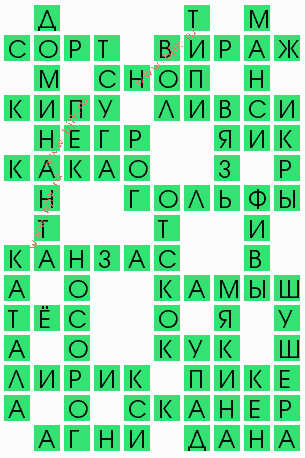 сканворд 6019