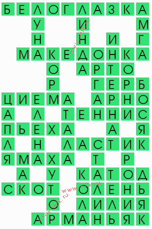 сканворд 7013