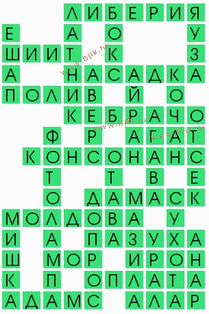 сканворд 7229
