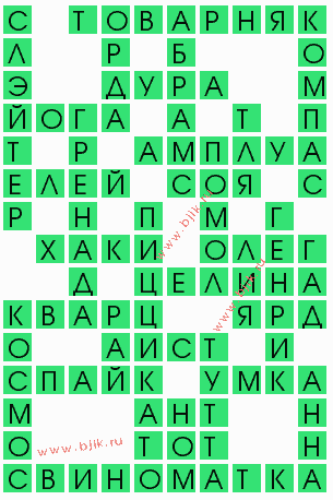 сканворд 7722