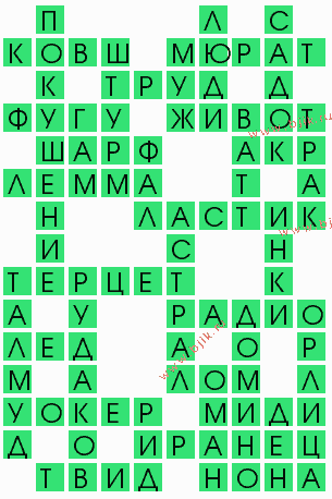 сканворд 7724