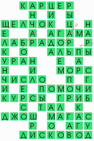 сканворд 7778