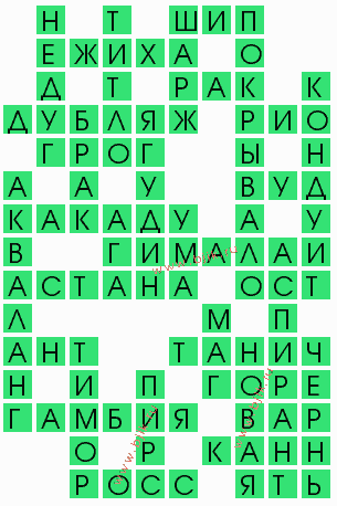сканворд 8100