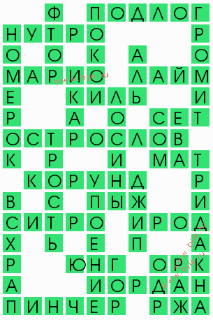 сканворд 8218