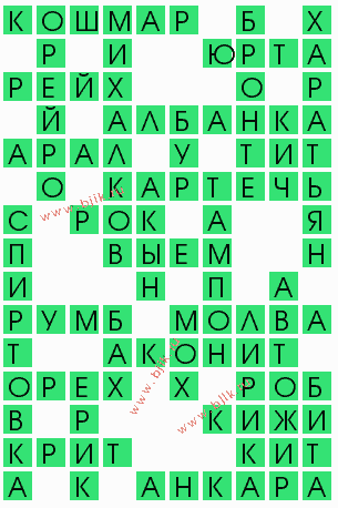 сканворд 8228