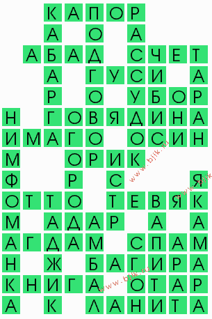 сканворд 8254