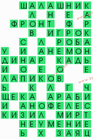 сканворд 8295