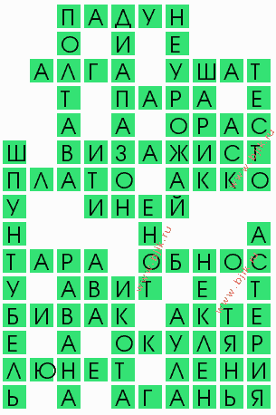 сканворд 8411