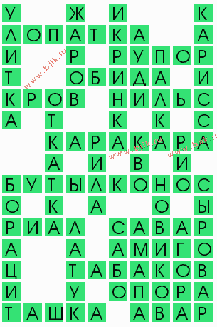 сканворд 8542