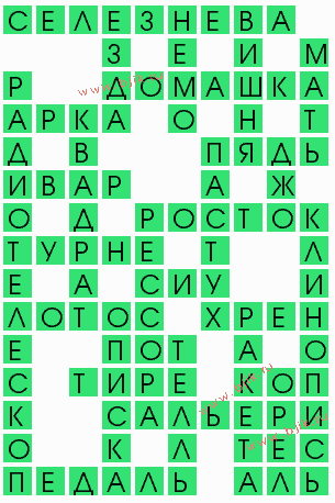 сканворд 8858