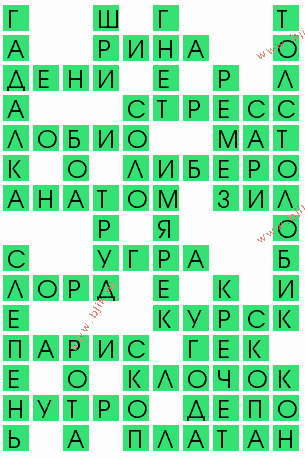 сканворд 9009