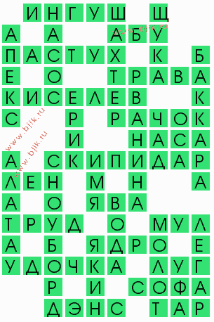 сканворд 9080