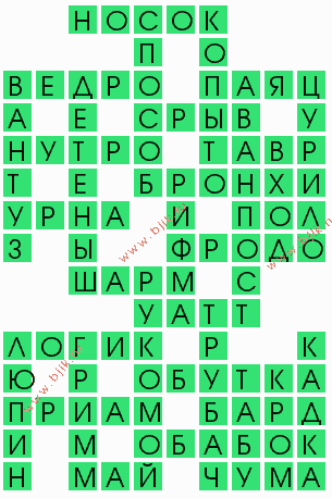 сканворд 9559