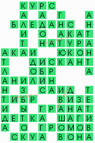 сканворд 9909