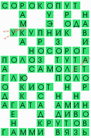 сканворд 9964