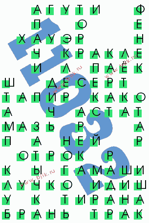 сканворд 11032