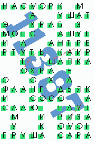 сканворд 11387