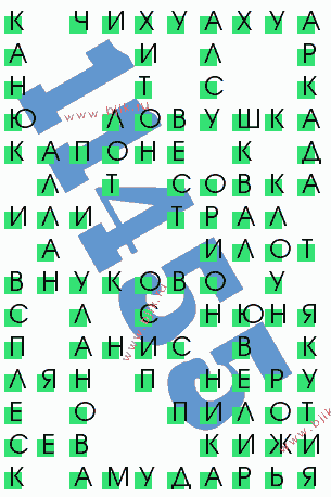 сканворд 11455
