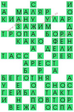 сканворд 12938
