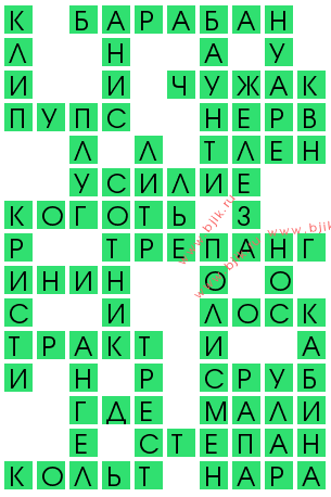 сканворд 12958
