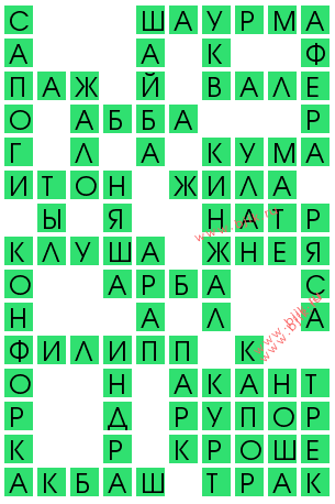 сканворд 12977