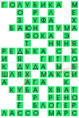 сканворд 13046