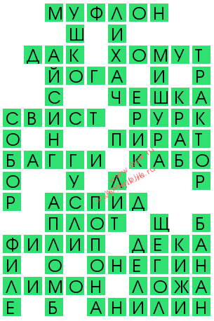 сканворд 13080