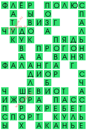 сканворд 13097