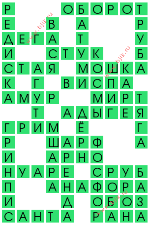 сканворд 13159