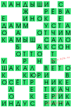 сканворд 13352