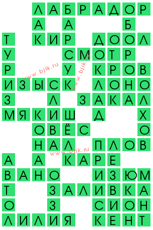 сканворд 13388