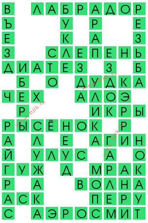 сканворд 13455