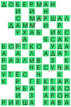 сканворд 14354