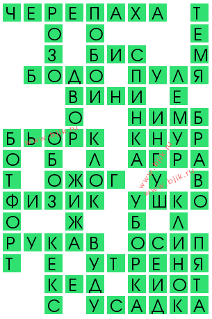сканворд 14835