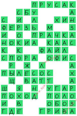 сканворд 15360