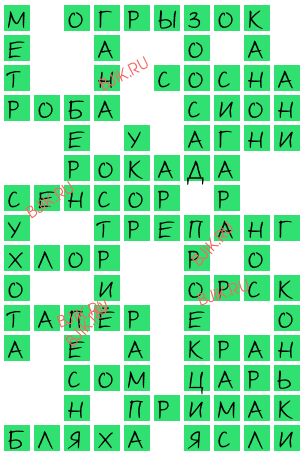 сканворд 15593