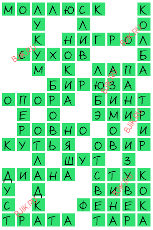 сканворд 15666