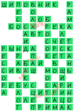 сканворд 15905