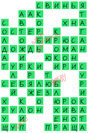 сканворд 16335