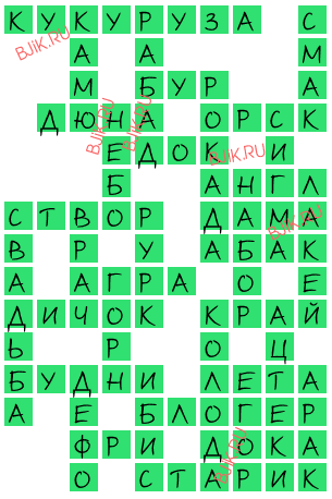 сканворд 16705