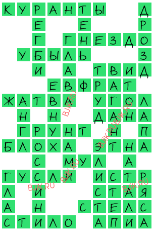 сканворд 16796