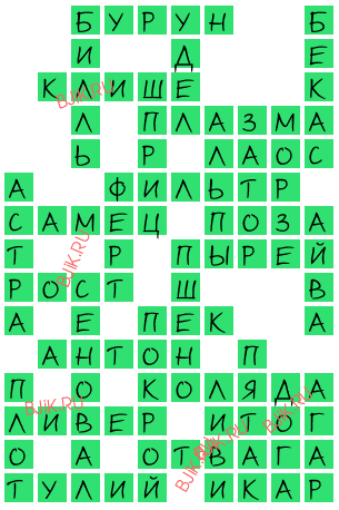 сканворд 16797