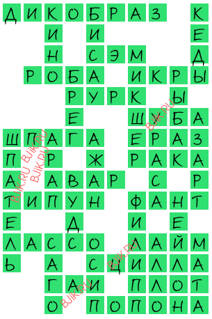 сканворд 16965