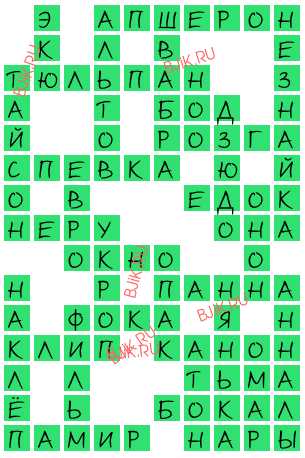 сканворд 17039