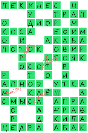 сканворд 17057