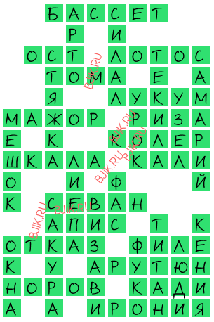 сканворд 17080